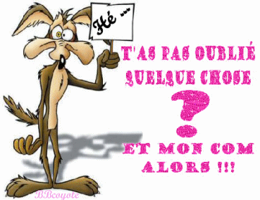 ne pa oubli&eacute;!!!